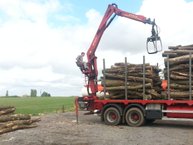 Delivery of our sustainable timber