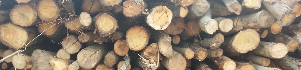 Our locally sourced firewood